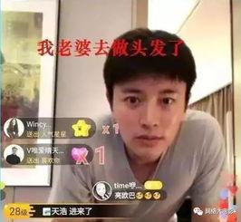 娱乐圈系统吃瓜电视剧,瓜田李下,明星们的甜蜜苦涩